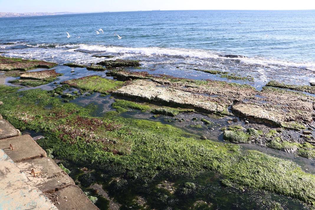 Marmara'da korkutan görüntü: Deniz 25 metre çekildi! Deprem habercisi mi? Uzmanı yanıtladı 3